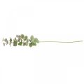 Floristik24 Branche d&#39;eucalyptus artificielle déco plante verte verte, rose 75cm