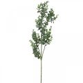 Floristik24 Déco branche d&#39;eucalyptus branche d&#39;eucalyptus artificielle 75cm