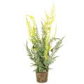 Floristik24 Fougère artificielle avec motte de racines, idéale pour la décoration de la maison et du bureau, 57 cm