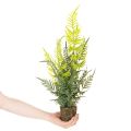Fougère artificielle avec motte de racines, idéale pour la décoration de la maison et du bureau, 57 cm | Floristik24.be