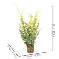 Fougère artificielle avec motte de racines, idéale pour la décoration de la maison et du bureau, 57 cm | Floristik24.be