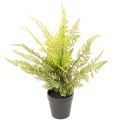 Floristik24 Fougère artificielle en pot pour décoration intérieure, 40 cm