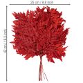Frondes de fougère préservées et teintées, véritables fougères pour compositions automnales, 42 cm, lot de 10. | Floristik24.be