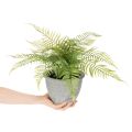 Fougère artificielle en pot pour salon et bureau, 35 cm | Floristik24.be