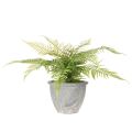Fougère artificielle en pot pour salon et bureau, 35 cm | Floristik24.be
