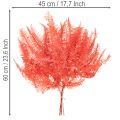 Fougères, fleurs séchées et préservées, décoration d'automne, 60 cm, 10 pièces | Floristik24.be