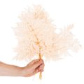 Fougère séchée décorative pour vase 42 cm, lot de 10 | Floristik24.be