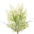 Floristik24 Branche de ruscus artificielle verte pour décoration florale, 41 cm