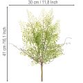 Branche de ruscus artificielle verte pour décoration florale, 41 cm | Floristik24.be