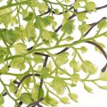 Branche de ruscus artificielle verte pour décoration florale, 41 cm | Floristik24.be