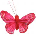 Floristik24 Papillon plume orange-rouge 5cm 24pcs