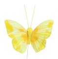 Floristik24 Papillon de plumes 10cm jaune 12P