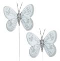 Floristik24 Papillon de plumes d’argent, glitter 7cm 4P