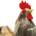 Floristik24 Décoration coq et poule de Pâques avec plumes H26cm naturel lot de 2