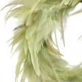 Floristik24 Couronne de plumes déco verte Ø16cm véritable couronne de plumes décoration printanière