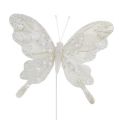 Floristik24 Papillon plume blanc avec mica 11cm 3pcs
