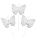 Floristik24 Papillon de plumes 8cm sur fil, blanc 12P
