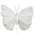 Floristik24 Papillon de plumes 8cm sur fil, blanc 12P