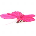 Floristik24 Plume papillon sur clip coloré 6cm 12pcs