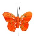 Floristik24 Papillons en plumes 6cm jaune, orange 24pcs