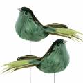 Floristik24 Plume oiseau sur fil vert 12cm 4pcs