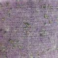 Floristik24 Ruban de feutrine Emotion fleurs de lavande 15cm x 5m violet