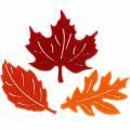Floristik24 Saupoudrer de feuilles de feutre d&#39;automne déco rouge, orange 3.5cm 36pcs