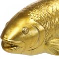 Floristik24 Poisson déco à poser, sculpture poisson polyrésine doré grand L25cm
