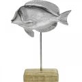 Floristik24 Poisson à poser, décoration maritime, poisson décoratif en métal argenté, couleurs naturelles H23cm