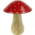 Floristik24 Amanite tue-mouche déco champignon en bois décoration automne bois 11.5×Ø10cm