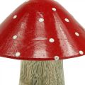 Floristik24 Amanite tue-mouche déco bois champignon automne décoration bois 10×8cm