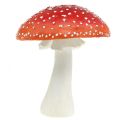 Floristik24 Déco tue-mouche rouge, blanc décoration de table champignon d&#39;automne Ø16cm H19cm
