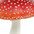 Floristik24 Déco tue-mouche rouge, blanc décoration de table champignon d&#39;automne Ø16cm H19cm
