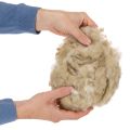 Laine de mouton beige naturelle, en vrac, pour les loisirs créatifs et la décoration, 250 g | Floristik24.be