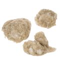Laine de mouton beige naturelle, en vrac, pour les loisirs créatifs et la décoration, 250 g | Floristik24.be
