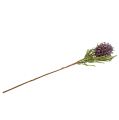 Floristik24 Fleur en mousse en violet L65cm