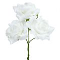 Floristik24 Rose mousse Ø 7.5cm blanc 18p