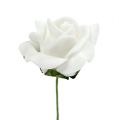 Floristik24 Rose en mousse Ø 3,5cm blanc 48 pièces
