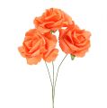Floristik24 Rose en mousse Ø 6cm orange 27p