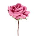 Floristik24 Rose mousse Ø7.5cm rose 18p