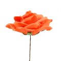 Floristik24 Roses en mousse orange Ø15cm 4pcs