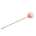 Floristik24 Fleur de magnolia en mousse rose Ø15cm L65cm