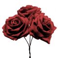 Floristik24 Mousse rose rouge Ø10cm 8pcs