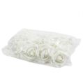 Floristik24 Roses en mousse blanches Ø5cm 12pcs