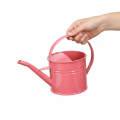 Arrosoir décoratif en métal, pot de fleurs rose, 1,25 l, intérieur/extérieur, balcon | Floristik24.be