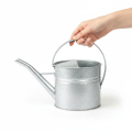 Arrosoir décoratif vintage, métal argenté, pot de fleurs de 1,25 l | Floristik24.be
