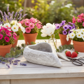 Bol décoratif en forme de cœur, gris ; petit pot de fleurs en forme de cœur, 19 cm | Floristik24.be