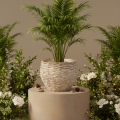Panier rond tressé, grand panier décoratif pour plantations, 23 cm | Floristik24.be