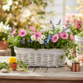 Jardinière en panier avec insert en aluminium, ovale, blanche, 37 cm | Floristik24.be