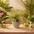 Fougère artificielle en pot pour salon et bureau, 35 cm | Floristik24.be